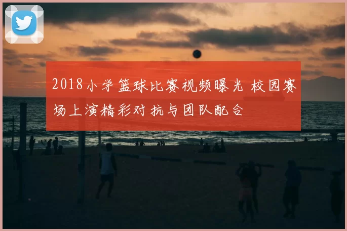 2018小学篮球比赛视频曝光 校园赛场上演精彩对抗与团队配合
