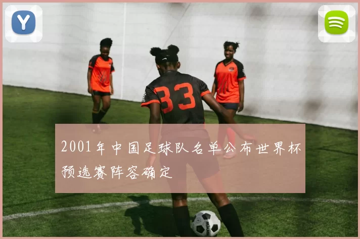 2001年中国足球队名单公布世界杯预选赛阵容确定