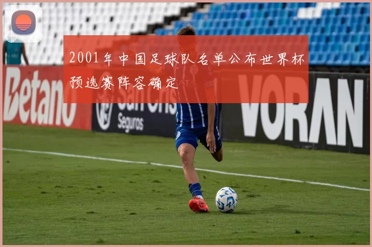 2001年中国足球队名单公布世界杯预选赛阵容确定