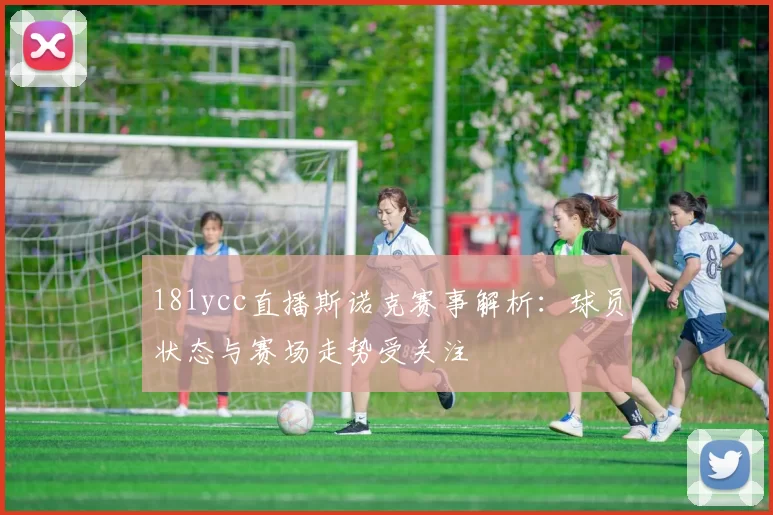 181ycc直播斯诺克赛事解析：球员状态与赛场走势受关注