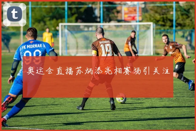 奥运会直播苏炳添亮相赛场引关注